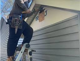 Best Historical Building Siding Restoration  in Avonia, PA